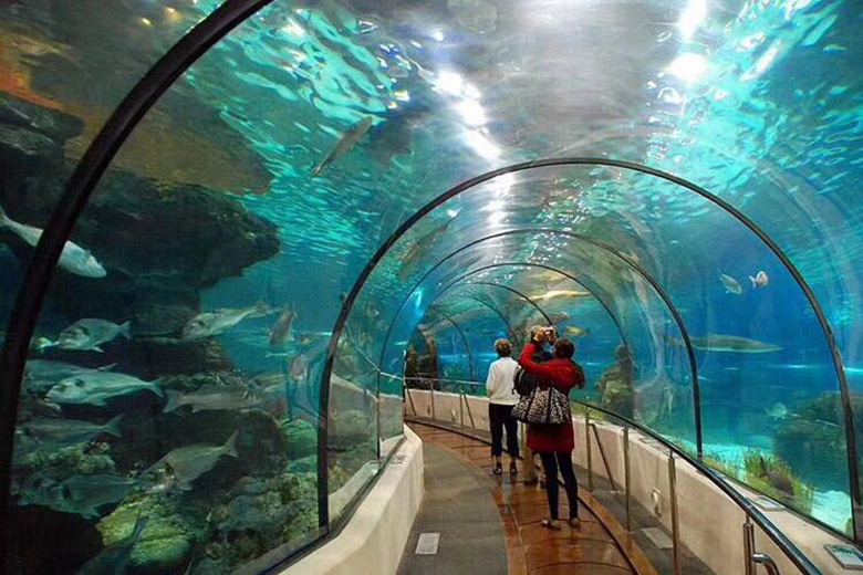 水族館工程